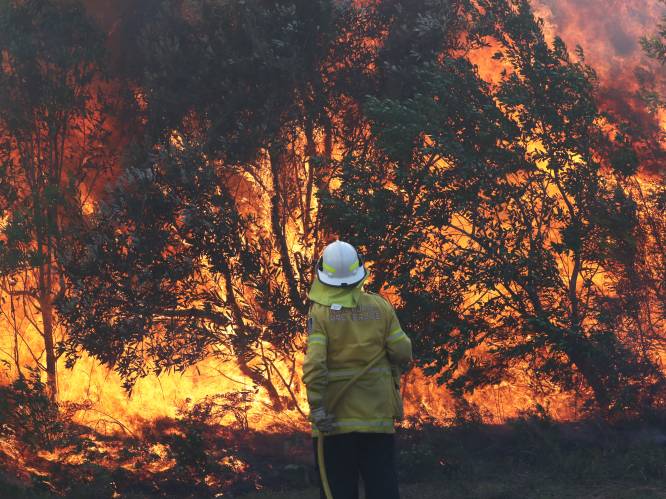 Honderden mensen op de vlucht voor bosbranden in Australië