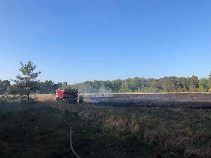 Ongeveer één hectare van de Kalmthoutse Heide ging zaterdagavond in vlammen op.