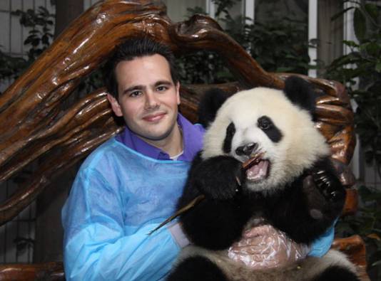 Giant Panda Global -oprichter Jeroen Jacobs.