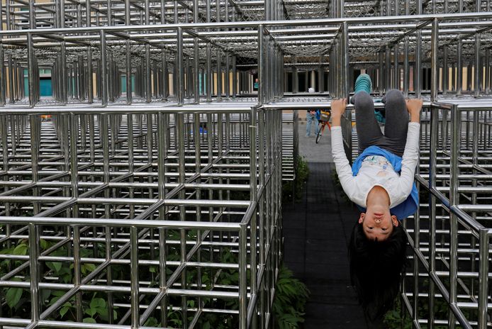 Een Taiwanees meisje hangt aan een stalen junglestelling in een speeltuin in Taipei. Foto Tyrone Siu