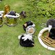 Twintigduizend musici uit dertig landen: in Kerkrade wordt 70 jaar Wereld Muziek Concours gevierd