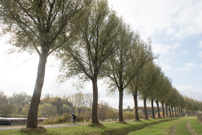 De stoffelijke resten lagen naast het jaagpad langs de Schelde.