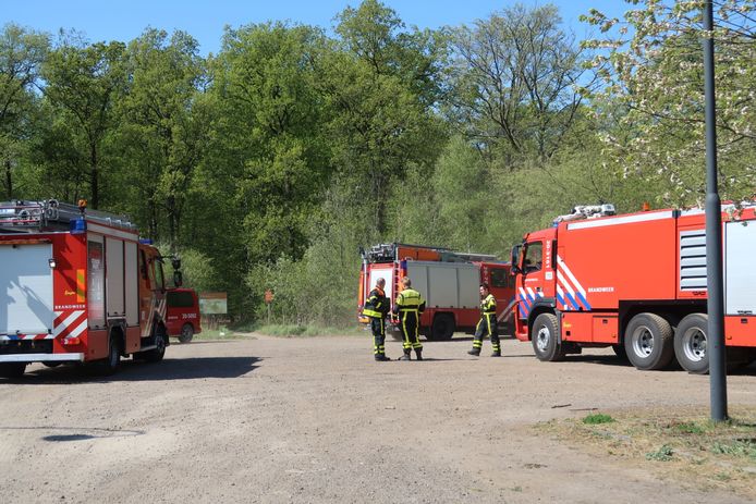 Brandweer met meerdere voertuigen ter plaatse bij bosbrand langs de Vijf Eikenweg in Oosterhout.