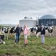 Heel Wijnjewoude kan stoken op koeienpoep