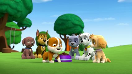 12. Pups krijgen een Rubble & Pups redden een Wasvis
