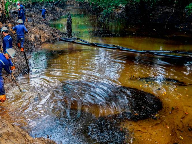 Massale dierensterfte door olielek in Colombiaanse rivieren: "Ramp voor omgeving en de dieren"