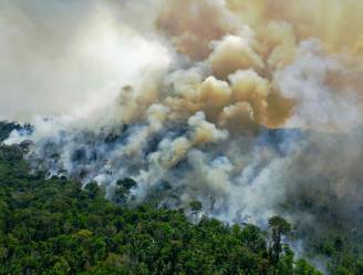 Ontbossing Amazonewoud met 150% toegenomen in laatste maand van Bolsonaro's ambtstermijn