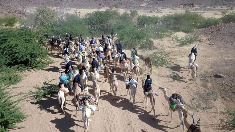 Toearegs op weg naar Iferouane in Niger. Beeld AFP
