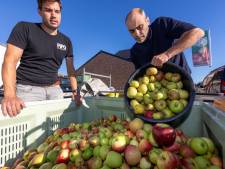 Une aide de 2 millions d’euros pour les producteurs de pommes wallons