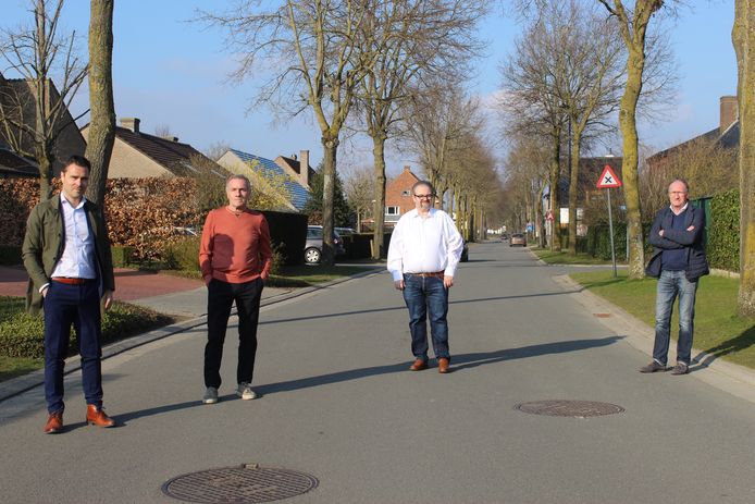 Een archiefbeeld aan de bomen in de Nieuwstraat.