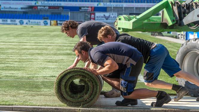 PEC Zwolle rolt vermaledijde kunstgras stadion uit; Wie aan nieuw veld zit, zit aan grasmeester Meiberg