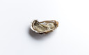 Oester.