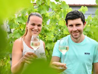 Westrozebeekse wijn krijgt 100% West-Vlaams label