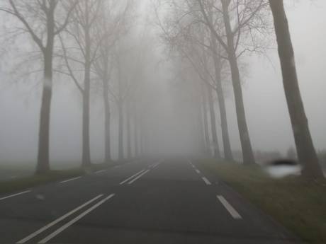 Politie en ANWB waarschuwen voor dichte mist in Oost-Nederland: ‘Pas rijstijl aan’