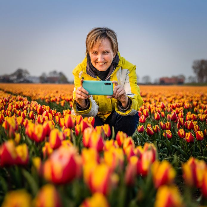 Christine van Hees tussen de tulpen in Zuid-Beijerland. ,,Ik werk een dag in de week in de bollenstreek en daar zien de tulpen er prachtig uit. Dan moet ik natuurlijk ook in Zuid-Beijerland zien hoe ze erbij staan.”