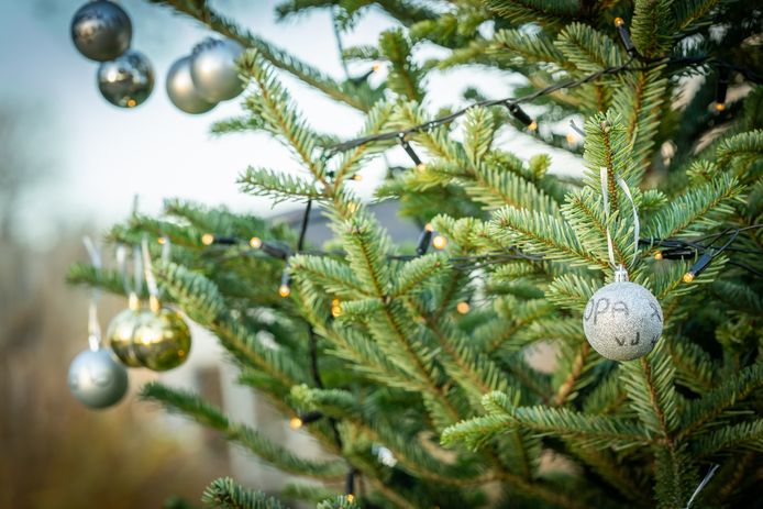 Nu Licht op Noorderveld niet doorgaat, kunnen nabestaanden in december in meer kerstbomen een kerstbal met tekst ophangen.