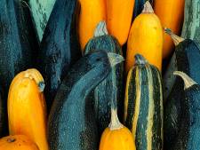 L’erreur que l’on fait tous avec les courgettes