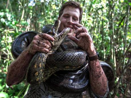 Un nouvel anaconda géant retrouvé mort, un mois à peine après sa découverte par des scientifiques: “Il aurait été abattu”