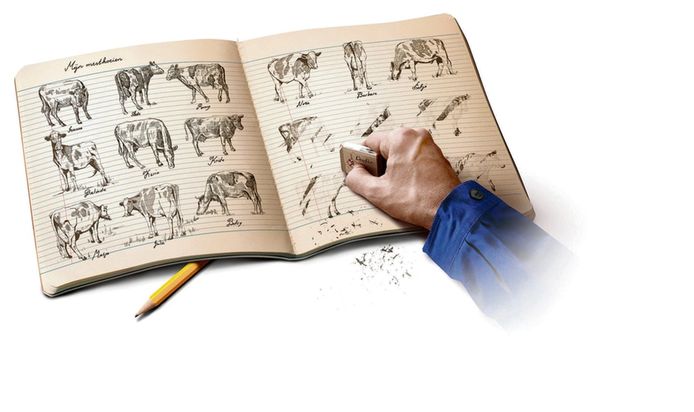 Minstens 2.100 melkveehouders hebben de hand gelicht met de registratie van pasgeboren kalfjes.