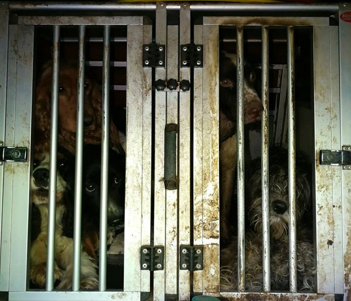 Politie Noord-Holland