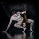 Tanztheater Wuppertal Pina Bausch moest samen weer bij nul beginnen: ‘Opeens was ik niet meer die oudere Pina-danser’