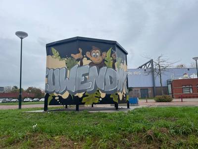Graffiti-kunstenaar maakt iets moois van jongerenplek in Nieuwendijk