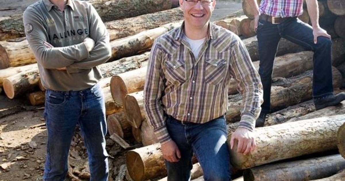 Gebroeders Van Dal breiden hout uit in Esbeek