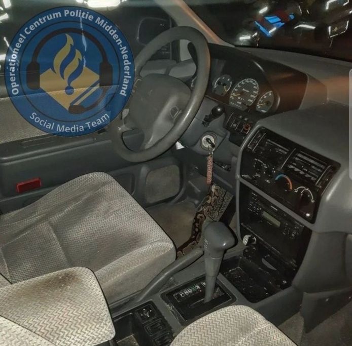 In de auto vond de politie een slang.