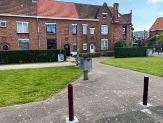 100 jaar tuinwijk wordt gevierd