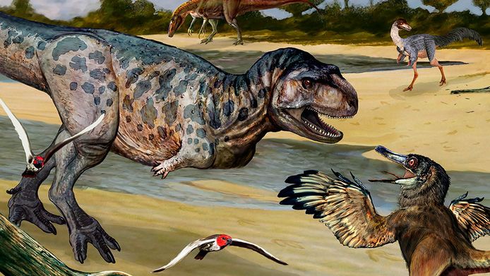 Zo zou de nieuw ontdekte dinosaurussoort Elemgasem nubilus er kunnen hebben uitgezien.