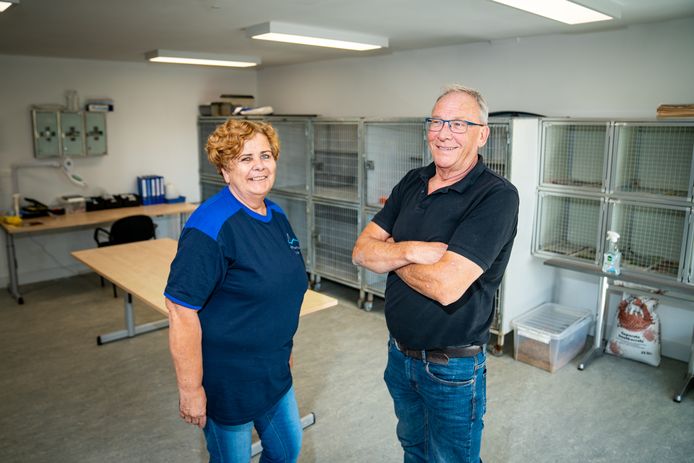 De Dierenambulance Zit In Het ‘mooiste Gebouw Van Vlaardingen Vlaardingen Adnl