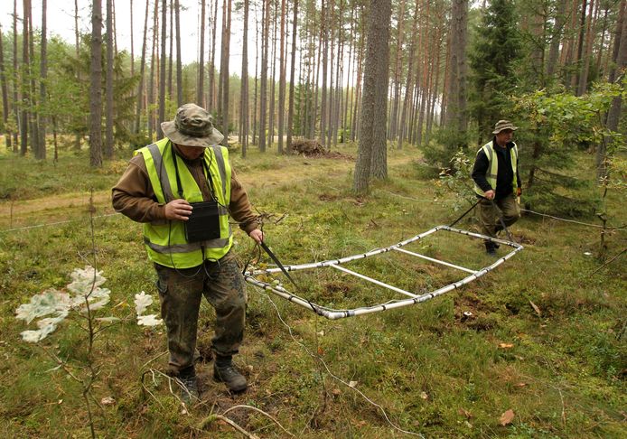 Poolse politieagenten zoeken met een metaaldetector naar niet-gedetoneerde explosieven in een bos bij het dorpje Spychowo in het noordoosten van het land. Archieffoto.