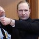 Leidse onderzoekers bij uitspraak Breivik