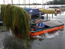 Waterschap: ‘Zeilers moeten planten zelf weghalen’