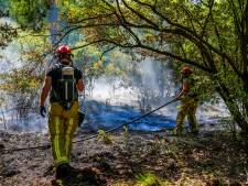 Brandweer in Zuidoost-Brabant alert op meer natuurbranden: ‘Het wordt alleen maar droger’