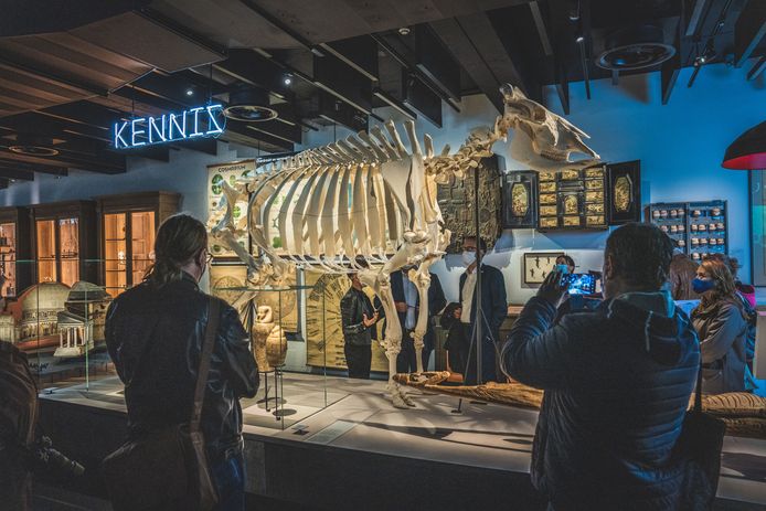 Het GUM, het nieuwe museum van de Ugent