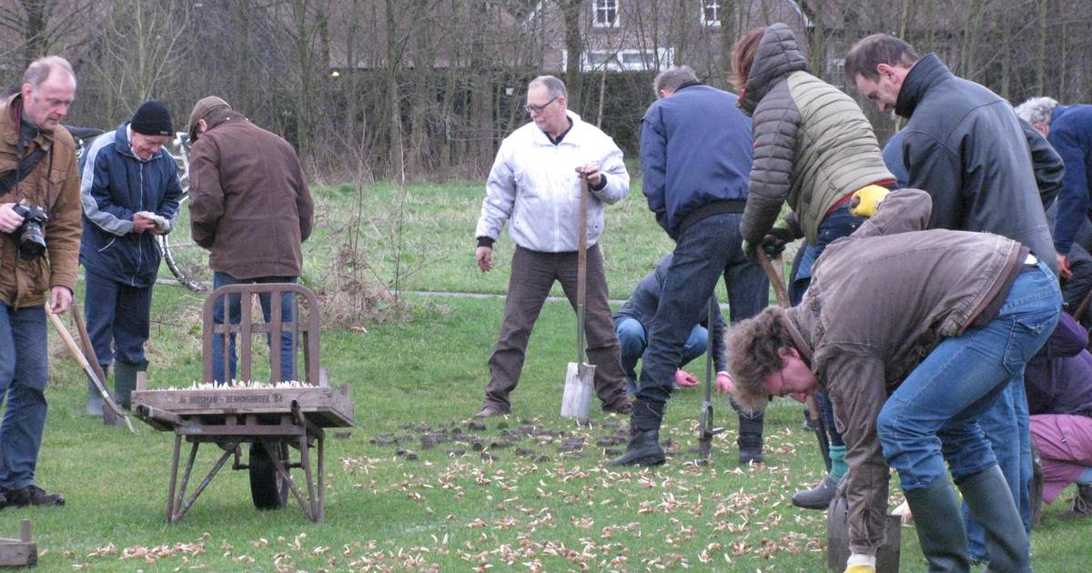Lennisheuvel gaat bloeien | Boxtel