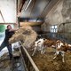 Volkskrant Ochtend: Boeren zitten vaak in de schulden en dat kan anders | De wolf is niet gevaarlijk, we kunnen zelfs van ze leren