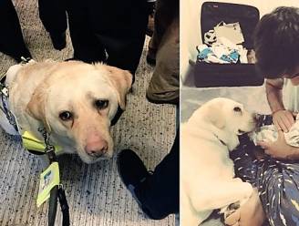 "Het leven is zo al moeilijk genoeg": pendelaars weigeren recht te staan voor blinde vader met geleidehond