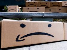 Le marché en ligne d’Amazon attire les vendeurs de contrefaçons: 7 millions de produits saisis l’an dernier