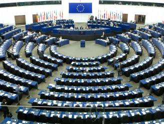 Opgestapte Arnout Hoekstra aast op plekje in Europees Parlement