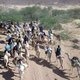 De Sahel was ooit een veilige haven voor trekvogels, nu dreigt er een ecologisch drama