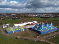 Festivate in aantocht, Deils festival gaat testen met recyclen van bekers: ‘Vergeet je het, wordt biertje iets duurder’