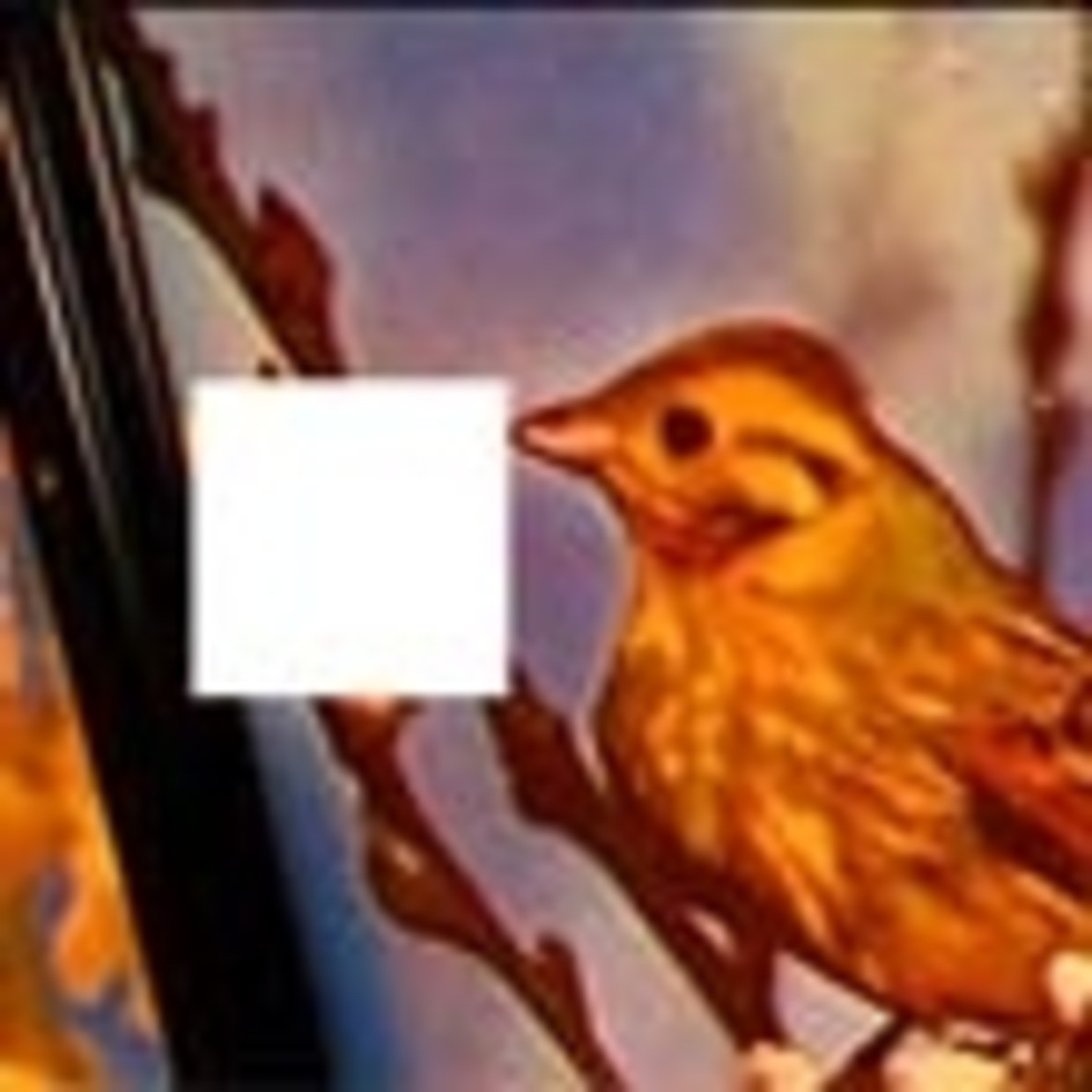 null Beeld 