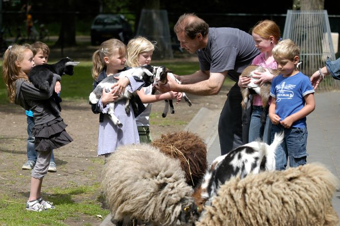Kinderboerderij Heidestein in Heelsum.