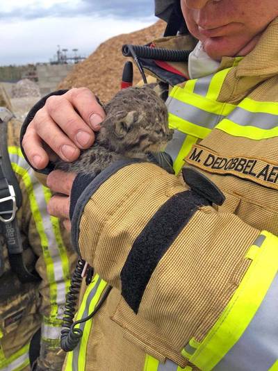 Brandweerman adopteert aan vlammen ontsnapte kitten