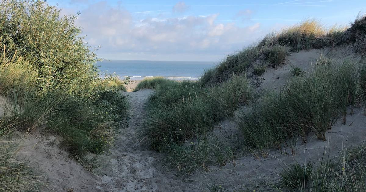 15-летний подросток похоронен под песком в глубоком колодце на пляже в США |  снаружи