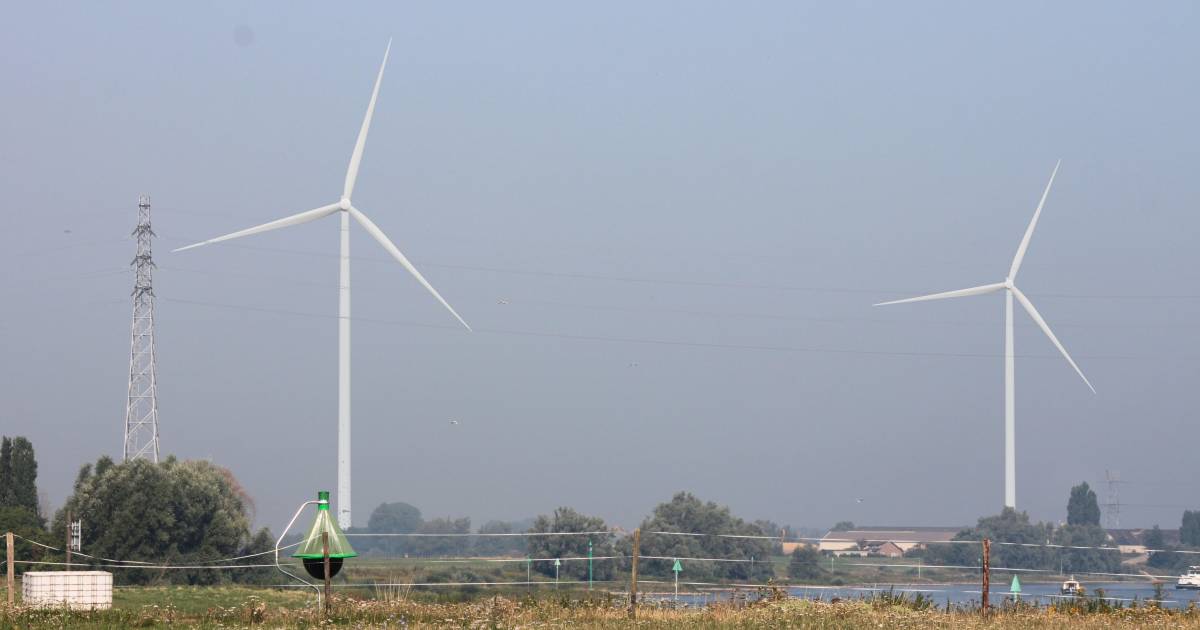 Kogel door de kerk: meerderheid raad Lingewaard stemt vóór megawindturbines Angeren - De Gelderlande