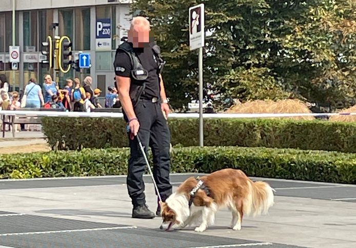 Een explosievenhond kwam donderdagmiddag mee zoeken naar de kogelhulzen.