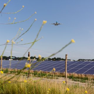 Zonnepark bij Schip­hol verblindt piloten, maar wie gaat het weghalen van de panelen betalen?